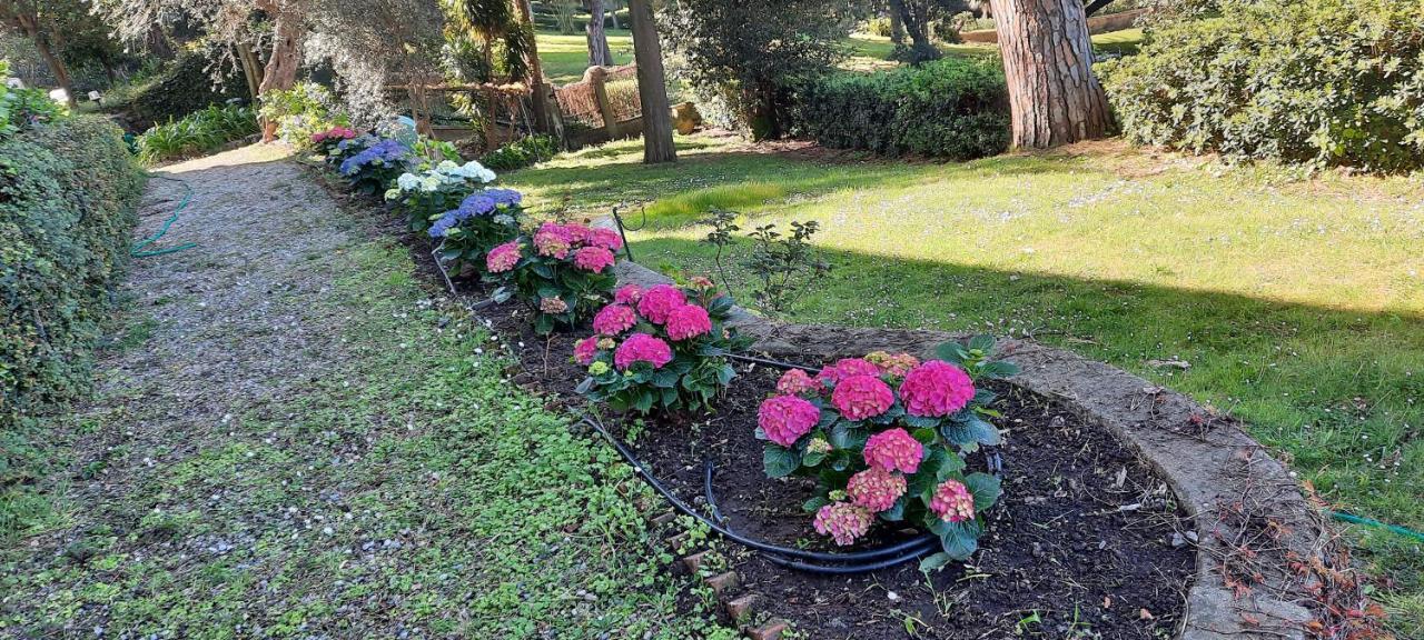 Villa Tramonto ليفانتو المظهر الخارجي الصورة